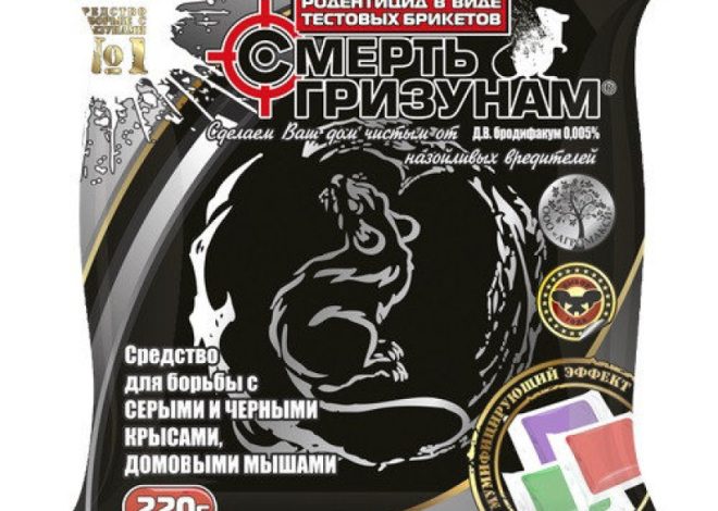 Родентициды: как выбрать средство от грызунов для дома, склада и огорода
